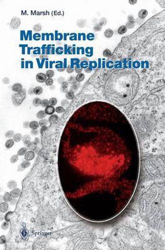 Cover image for Membrane Trafficking in Viral Replication