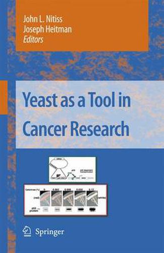 Cover image for Yeast as a Tool in Cancer Research