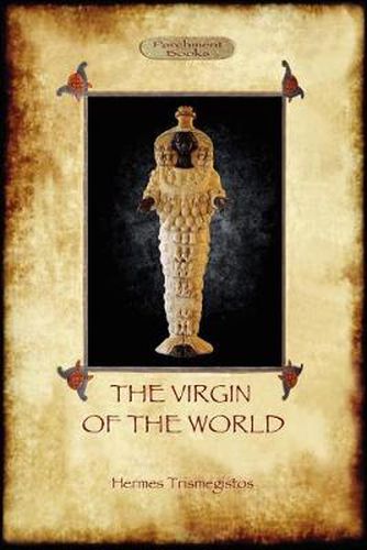 Cover image for The Virgin of the World