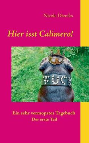 Cover image for Hier isst Calimero!: Ein sehr vermopstes Tagebuch. Der erste Teil