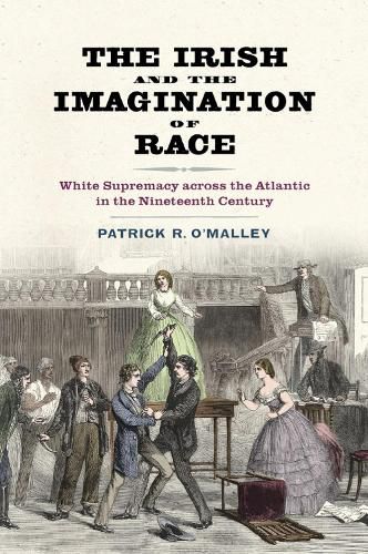 Cover image for The Irish and the Imagination of Race