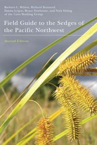 Cover image for Field Guide to the Sedges of the Pacific Northwest