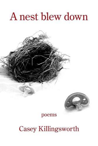 Cover image for A nest blew down