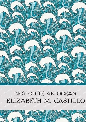 Cover image for Not Quite an Ocean