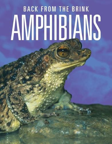 Cover image for Amphibians: Back from the Brink
