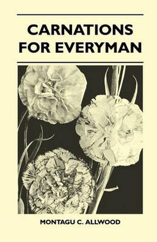 Cover image for Carnations For Everyman