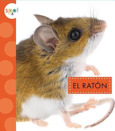 Cover image for El Rataon (Mice)