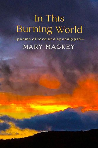 Cover image for In This Burning World