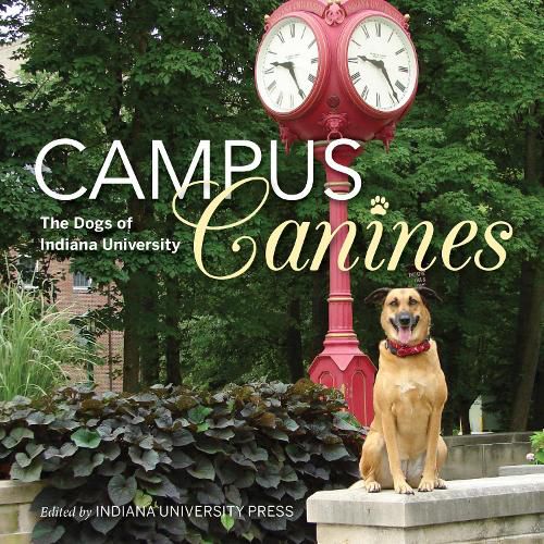 Cover image for Campus Canines: The Dogs of Indiana University