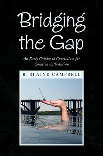 Cover image for Bridging the Gap