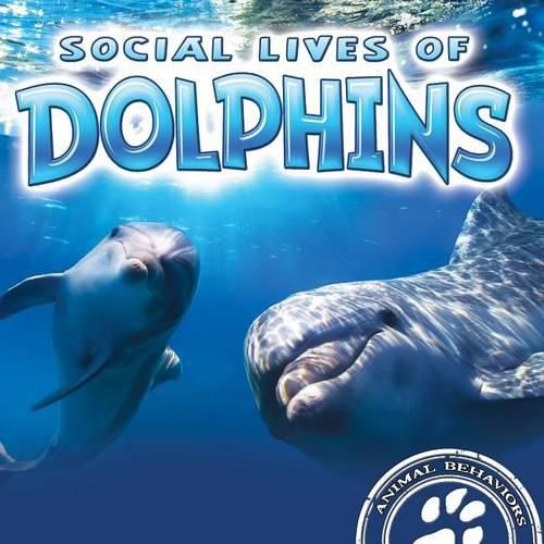 Cover image for Social Lives of Dolphins