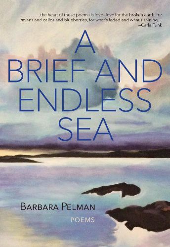 Cover image for A Brief and Endless Sea