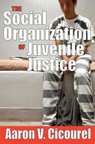 Cover image for The Social Organization of Juvenile Justice