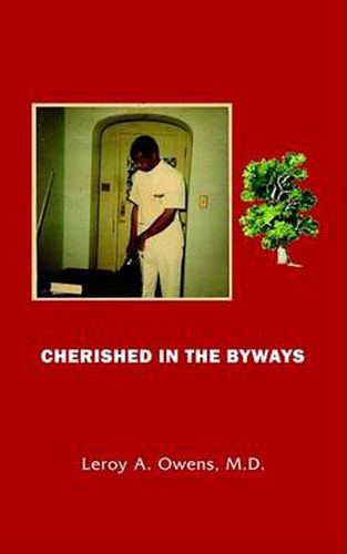 Cover image for Cherished in the Byways