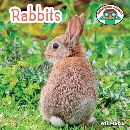 Cover image for Rabbits