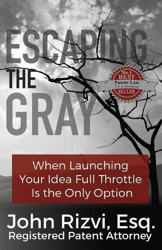 Cover image for Escaping the Gray: When Launching Your Idea Full Throttle is the Only Option