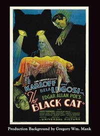 Cover image for The Black Cat (Hardback)