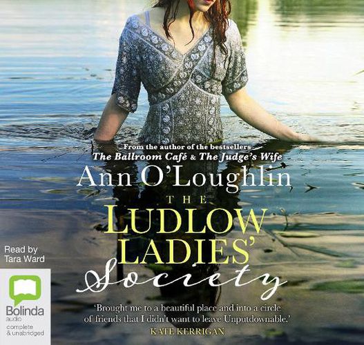 Cover image for The Ludlow Ladies' Society