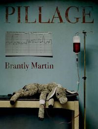 Cover image for Pillage