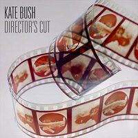 Cover image for Director's Cut