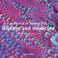 Cover image for Science is Beautiful: Disease and Medicine: Under the Microscope