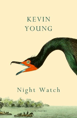 Cover image for Night Watch