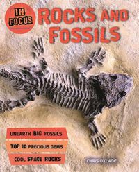 Cover image for In Focus: Rocks and Fossils