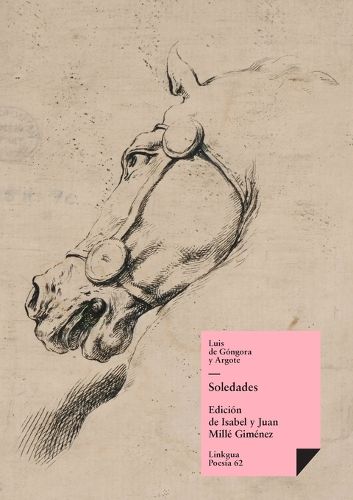 Cover image for Soledades