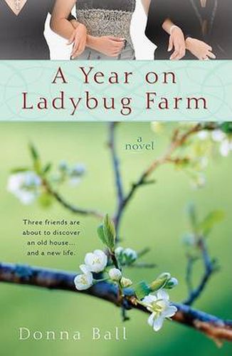 Cover image for A Year on Ladybug Farm