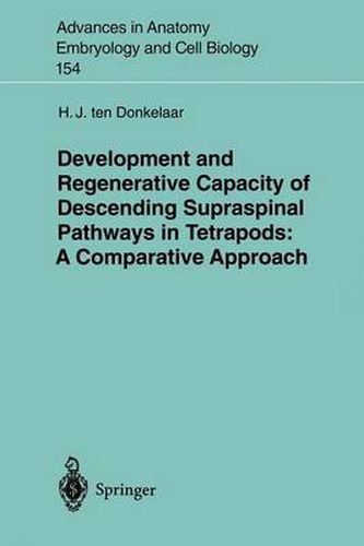 Cover image for Development and Regenerative Capacity of Descending Supraspinal Pathways in Tetrapods: A Comparative Approach