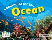 Cover image for Looking After the Ocean