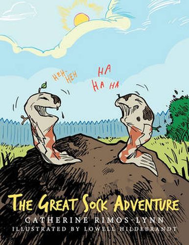 Cover image for The Great Sock Adventure