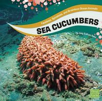 Cover image for Sea Cucumbers: Faceless, Spineless, and Brainless Ocean Animals