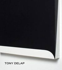 Cover image for Tony Delap