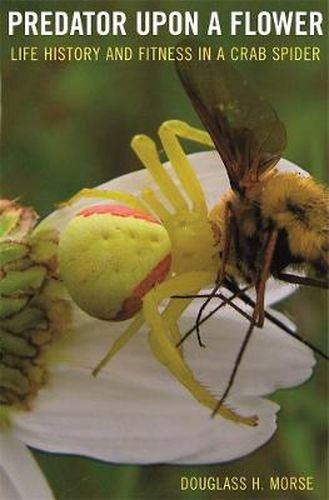 Cover image for Predator upon a Flower: Life History and Fitness in a Crab Spider