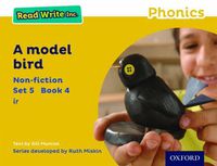 Cover image for Read Write Inc. Phonics: Yellow Set 5 Non-fiction 4 A Model Bird