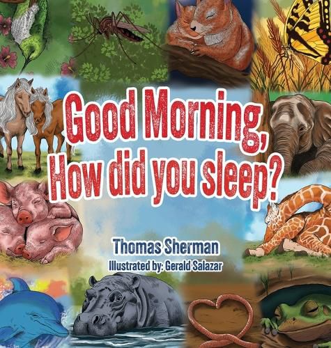 Cover image for Good Morning, How Did You Sleep?