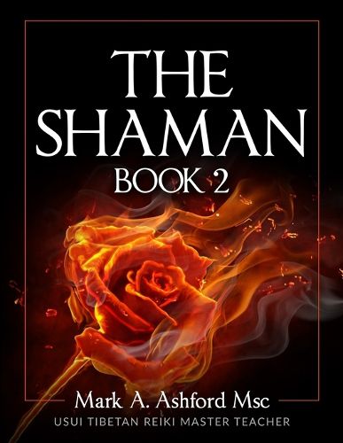 Cover image for The Practical Shaman Book 2