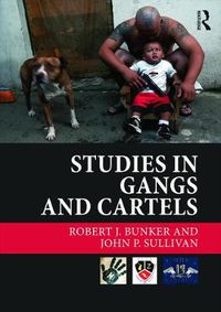 Cover image for Studies in Gangs and Cartels