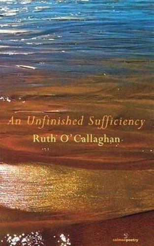 Cover image for An Unfinished Sufficiency