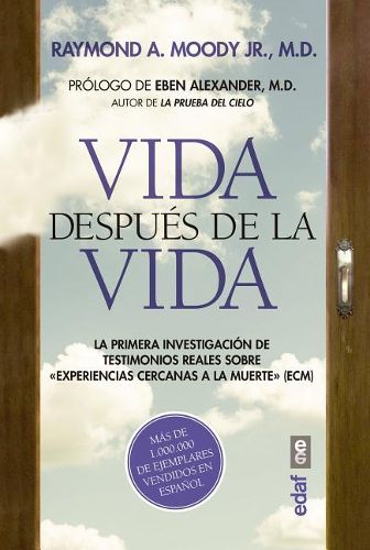 Cover image for Vida Despues de la Vida