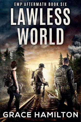 Cover image for Lawless World