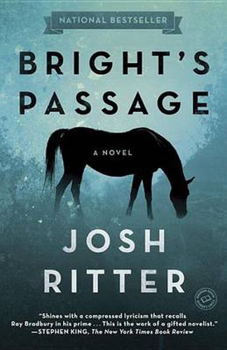Cover image for Bright's Passage: A Novel