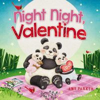 Cover image for Night Night, Valentine