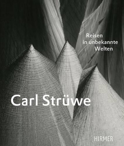 Cover image for Carl Struewe: Reisen in Unbekannte Welten