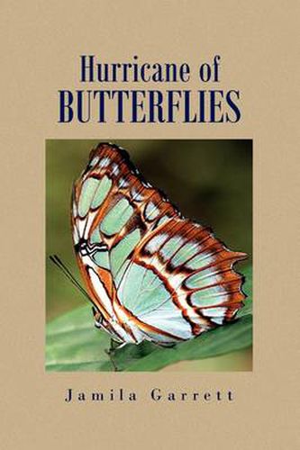 Cover image for Hurricane of Butterflies