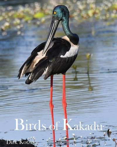 Cover image for Birds of Kakadu