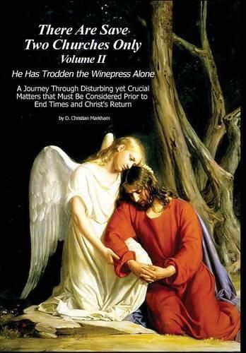 Cover image for There are Save Two Churches Only, Volume II
