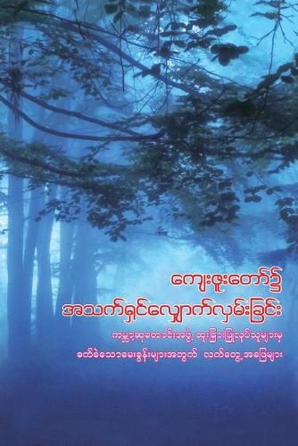 Cover image for Walking in God's Grace (Burmese): Practical Answers to Tough Questions