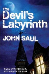 Cover image for The Devil's Labyrinth